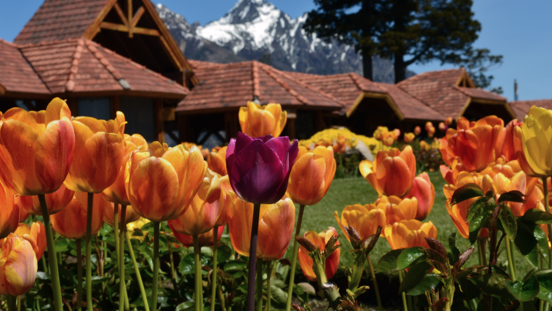 Fábrica de mermeladas